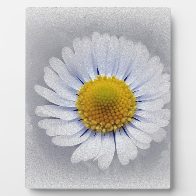 shining white daisy plaque (Front)