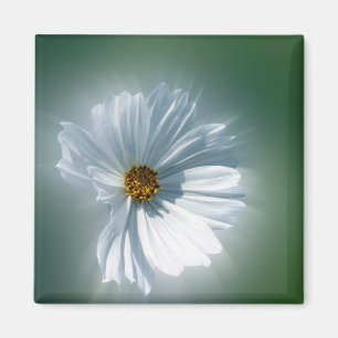 shining white magnet
