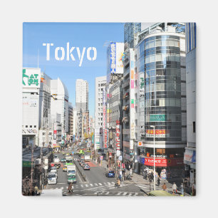 Shinjuku district in Tokyo, Japan Magnet