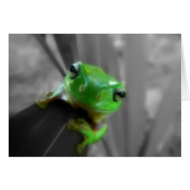 Shiny Green Frog (Front Horizontal)