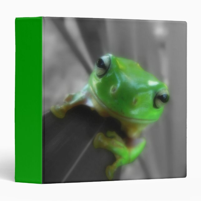 Shiny Green Frog Binder (Front/Spine)