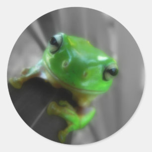 Shiny Green Frog Classic Round Sticker