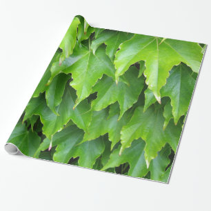 Shiny Green Ivy Leaves Wrapping Paper