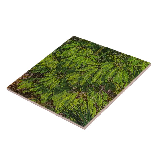 Shiny Leaves in Sunlight  Tile (Side)