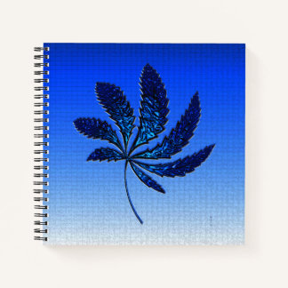 Shiny N Blue..... Notebook