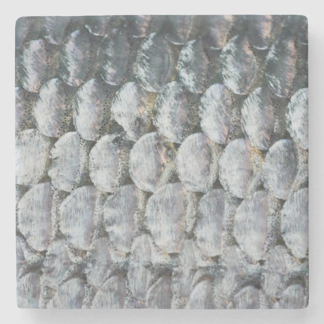 Shiny Salmon Scales Stone Coaster (Front)