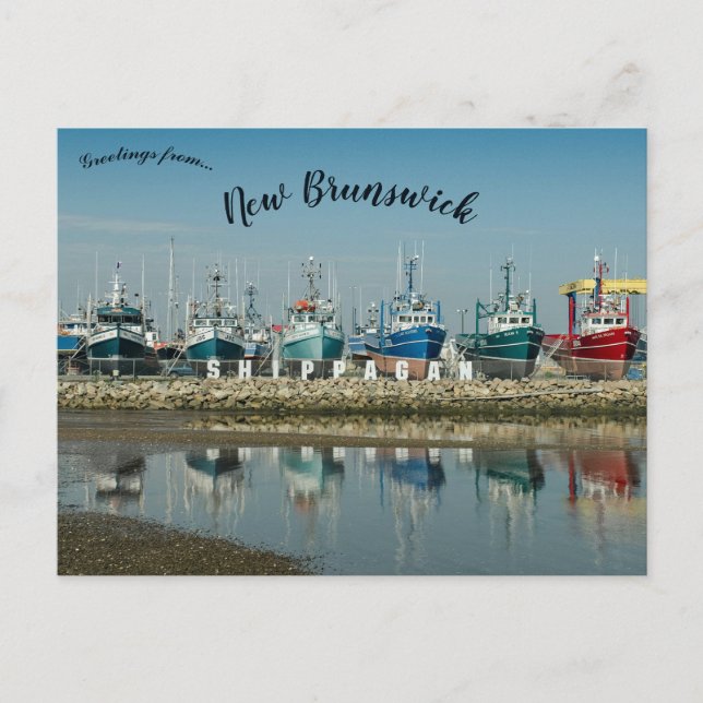 Shippagan New Brunswick Canada Postcard (Front)