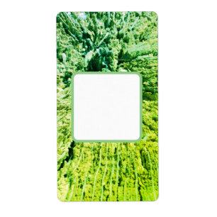 SHIPPING ADDRESS LABELS ART&DESIGN 