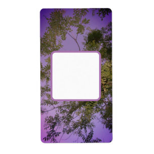 Shipping  Address Labels cool eco style design