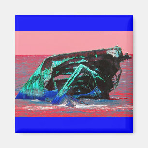 Shipwreck Abstract Pink Magnet