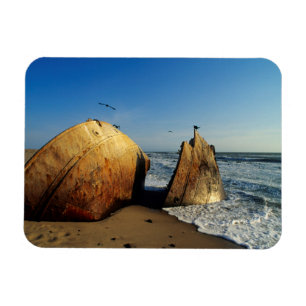 Shipwreck On Beach, Skeleton Coast, Namibia Magnet