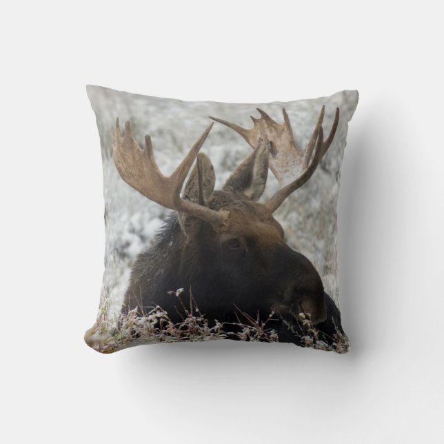 Shiras Bull Moose Throw Pillow (Front)