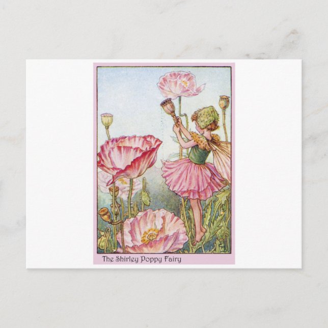 Shirley Poppy  Fairy Postcard (Front)