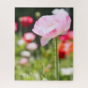 Shirley Poppy [Jigsaw puzzle: 520P] ジグソー Jigsaw Puzzle