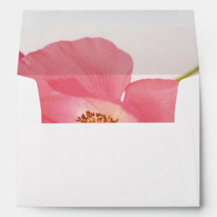 Shirley poppy up close envelope