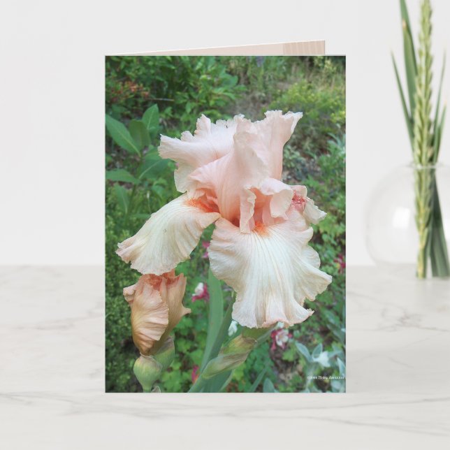 Shirley's Iris Card (Front)