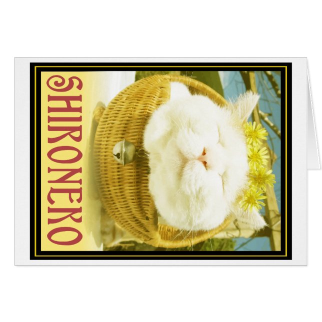 Shironeko or Basket Cat (Front Horizontal)