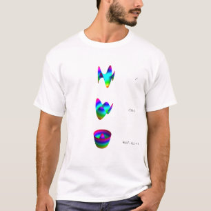 Shirt 1: Three categories of Zernike polynomials