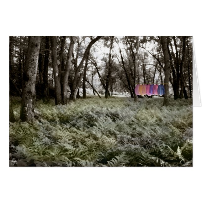 Shirts in a Floodplain Forest Card (Front Horizontal)