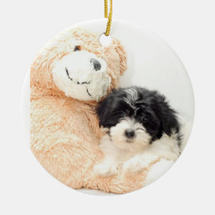 SHITZU AND TEDDY BEAR ORNAMENT