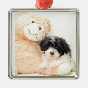 ***SHITZU AND TEDDYBEAR*** ORNAMENT