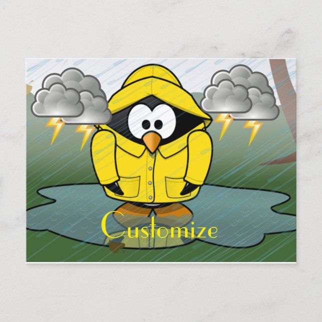 Shivering Rainy Day Penguin Thunder_Cove  Postcard (Front)