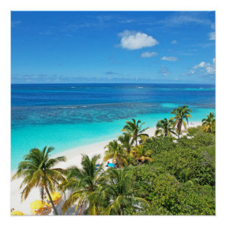 Shoal Bay East  Poster