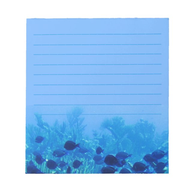Shoal of Blue Discus Fish Blue Lined Notepad (Front)