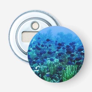 Shoal of Blue Discus Fish Underwater Photo Bottle Opener