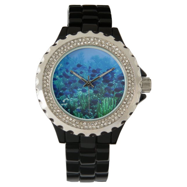 Shoal of Blue Discus Fish Watch (Front)