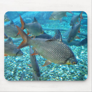 Shoal of fish mouse pad