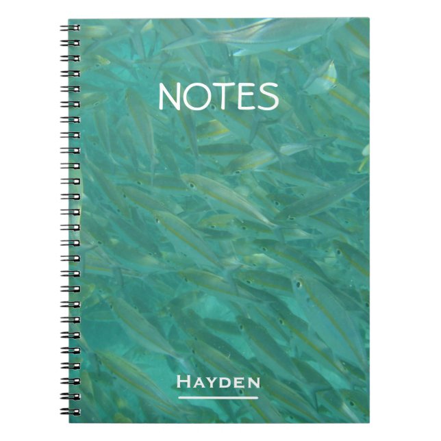 Shoal of Fish Notebook (Front)