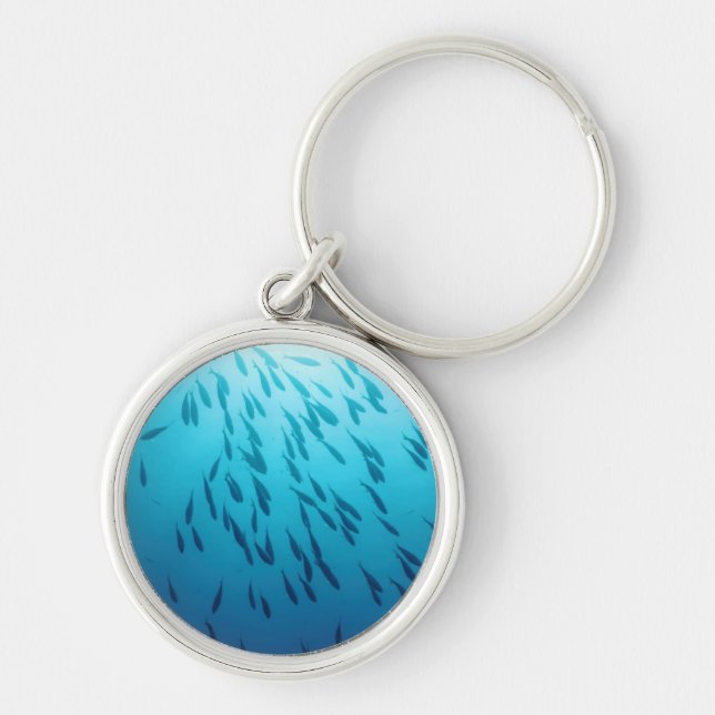Shoal of fishes keychain (Front)