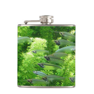 Shoal of Transparent Silver Fish Hip Flask