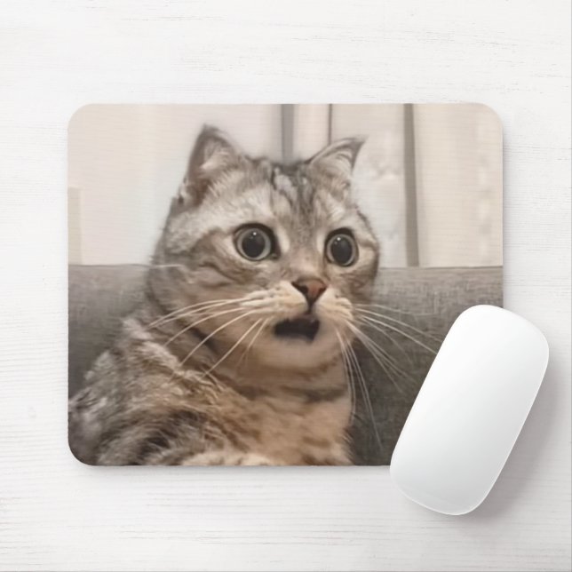Shocked Cat Meme Mouse Pad (With Mouse)