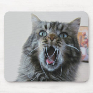 Shocked kitty is shocked mouse pad
