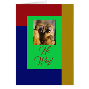 Shocked Monkeys, Red, Blue, Green & Gold Card