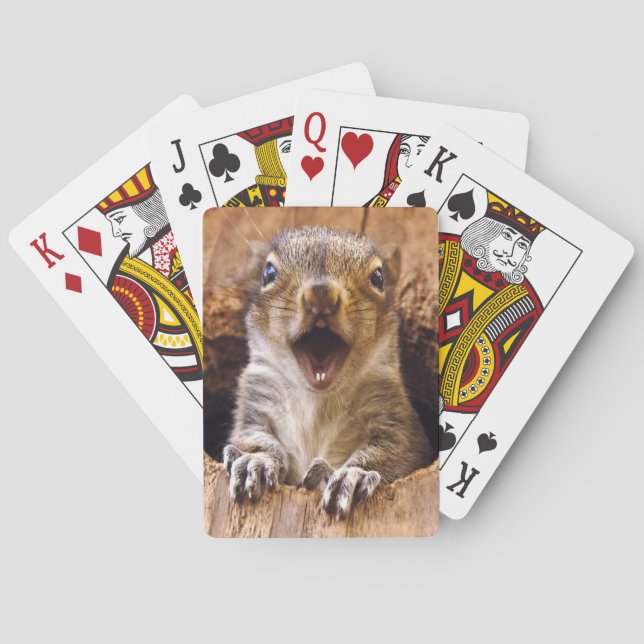Shocked Squirrel Playing Cards (Back)