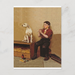 Shoe Shine Boy with Flute and Dog 1907 Postcard