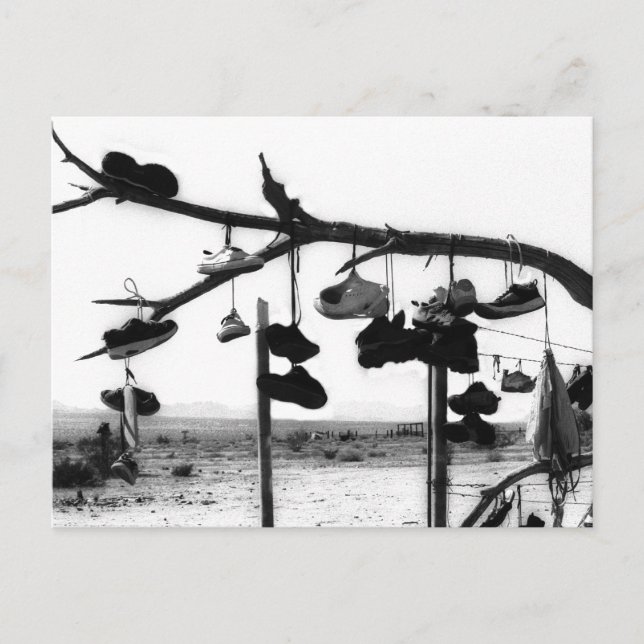 Shoe Store Postcard (Front)