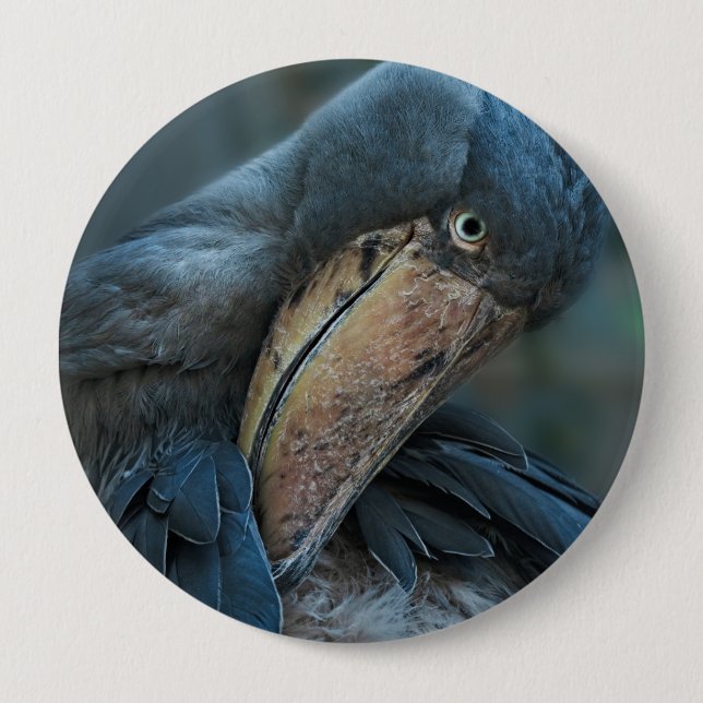Shoebill 4 Inch Round Button (Front)