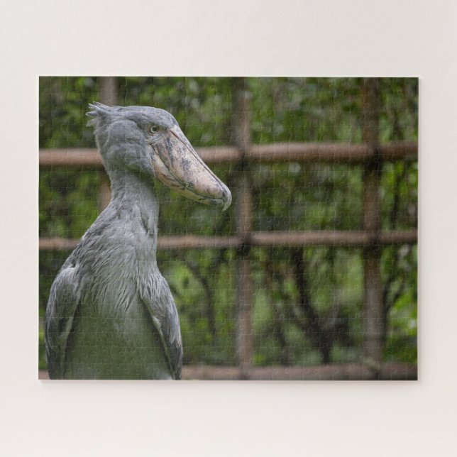 Shoebill (Balaeniceps rex) Jigsaw Puzzle (Horizontal)
