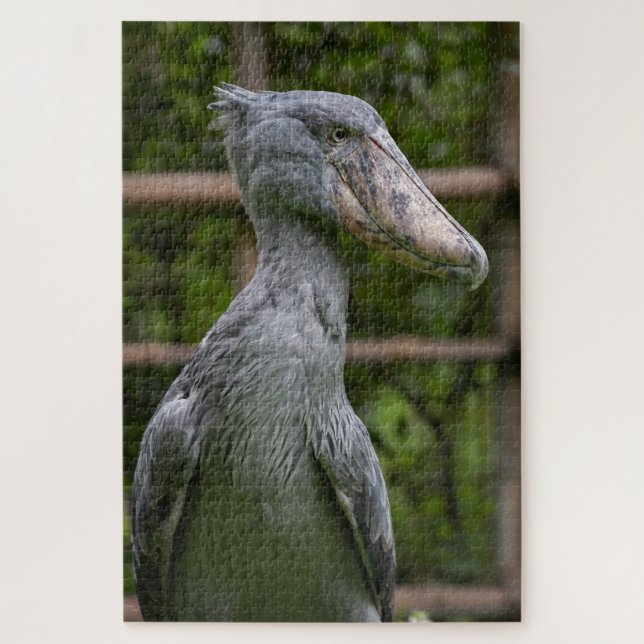 Shoebill (Balaeniceps rex) Jigsaw Puzzle (Vertical)