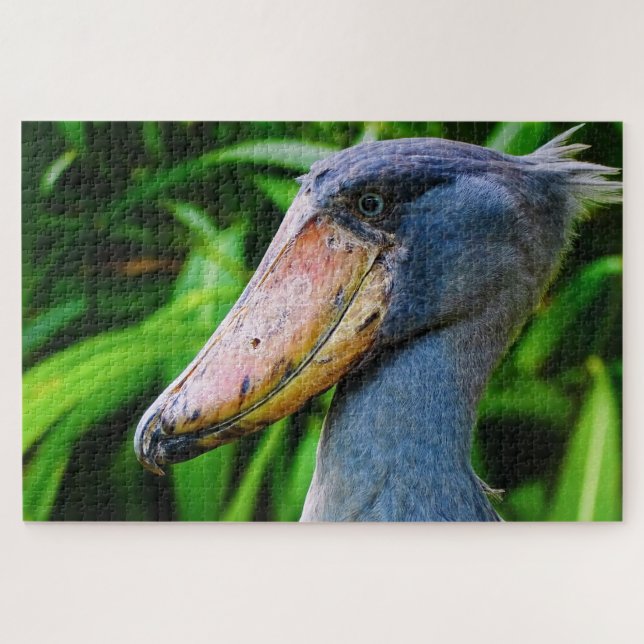 Shoebill (Balaeniceps rex) Jigsaw Puzzle (Horizontal)