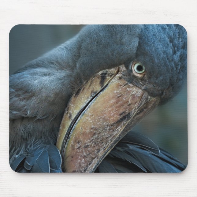Shoebill Gel Mouse Mat (Front)
