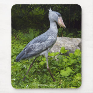Shoebill Mouse Pad