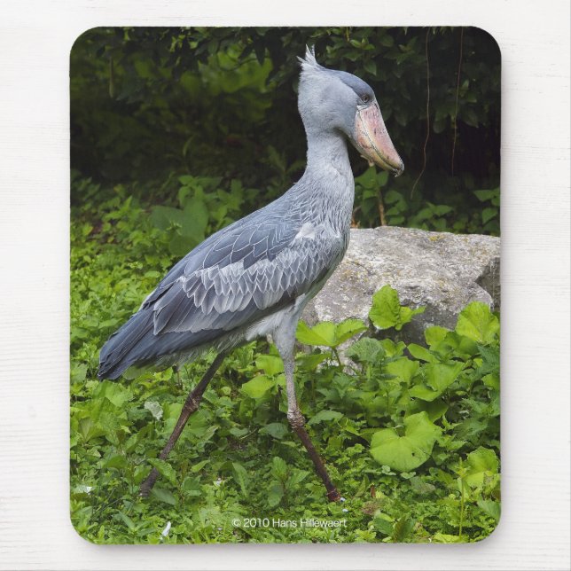 Shoebill Mouse Pad (Front)