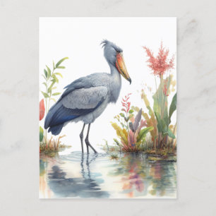 Shoebill Stork Watercolor painting Postcard