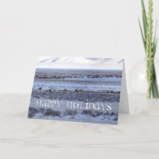 Shootin' the holiday card