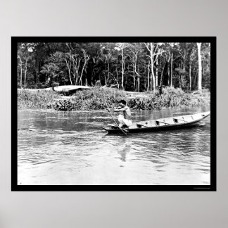 Shooting Fish on the Amazon River 1902 Poster